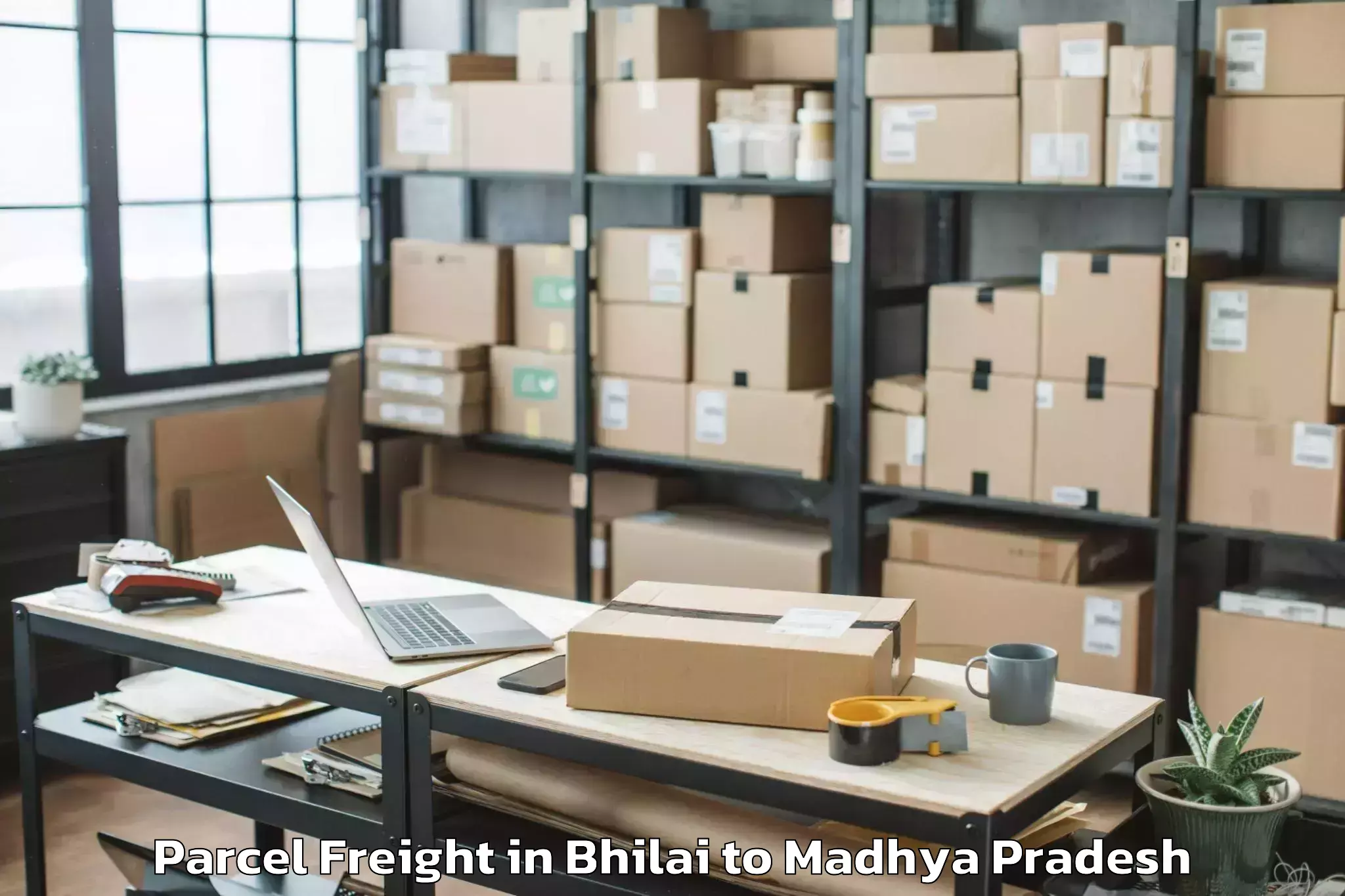 Book Your Bhilai to Hatod Parcel Freight Today